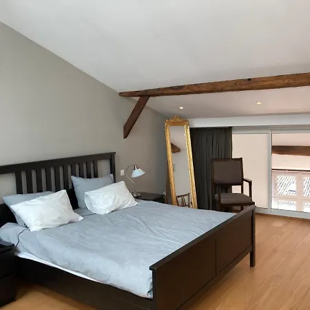 Le Loft Διαμέρισμα *